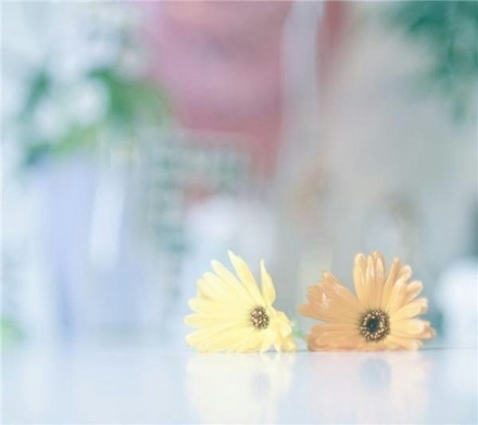 晚安心语：当执着成为负累，放手就是解脱