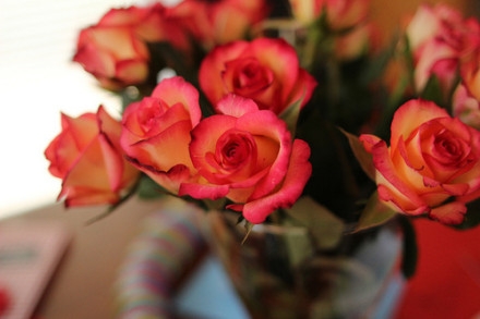 晚安心语：当执着成为负累，放手就是解脱