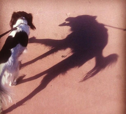 每周搞笑内涵图片汇总