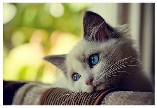 100条心情个性签名