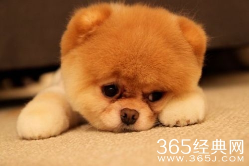 100条心情个性签名