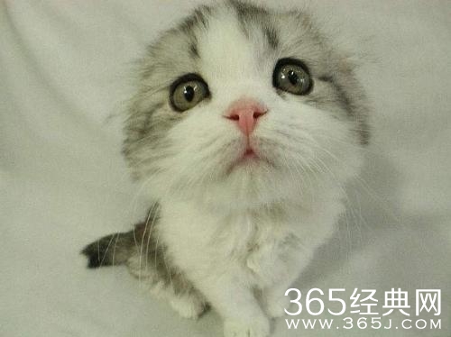 100条心情个性签名