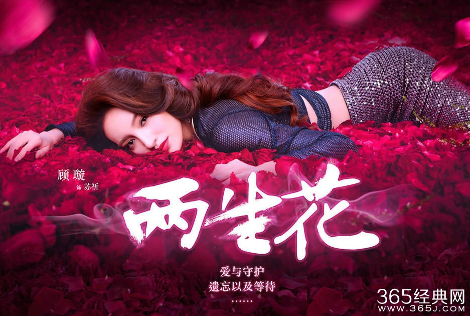 电视剧《两生花》苏祈扮演者是谁