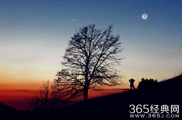 爱情语录：我们从来没有自己以为的那么深情