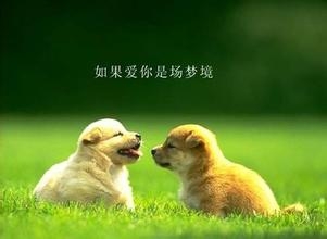 100条心情个性签名