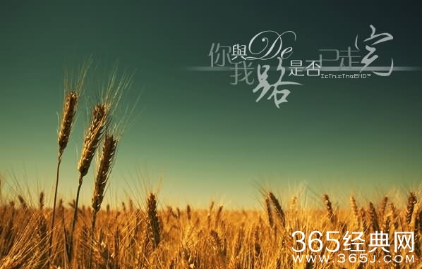 关于生活的图片