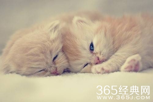 100条心情个性签名