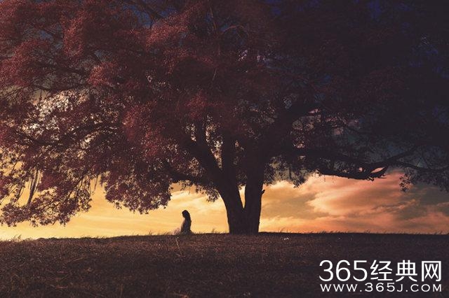 爱情语录：我们从来没有自己以为的那么深情