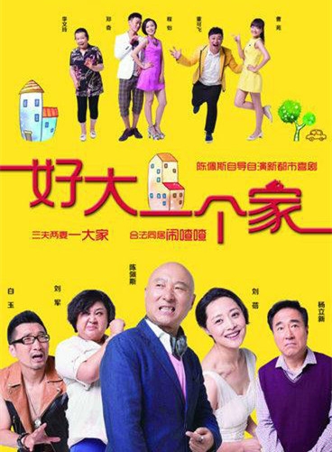 电视剧好大一个家(1-39集,大结局)剧情介绍图片