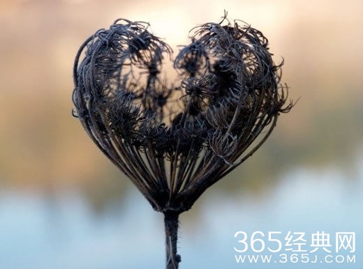 100条心情个性签名