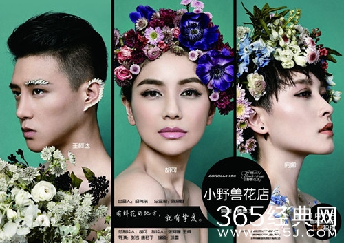 网络剧小野兽花店剧情介绍图片