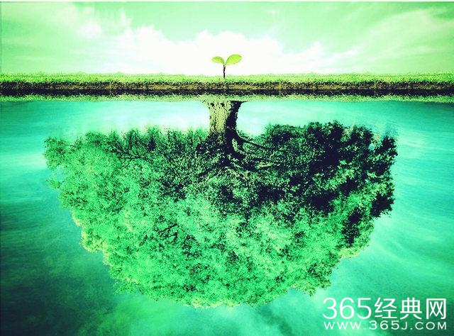 爱情语录：我们从来没有自己以为的那么深情