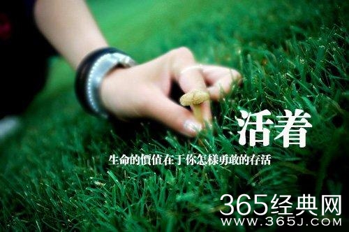 生命中的4个存折