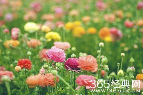 今天比昨天好，这就是希望