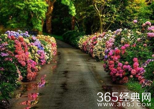 今天比昨天好，这就是希望