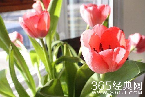 今天比昨天好，这就是希望