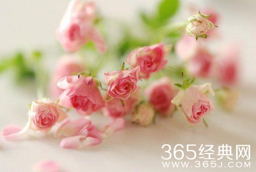 今天比昨天好，这就是希望