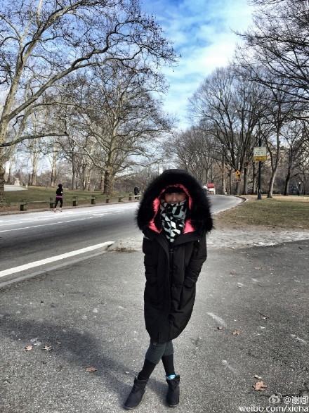 谢娜晒纽约街拍照 _谢娜从蒙面超人秒变高冷御姐_365经典网