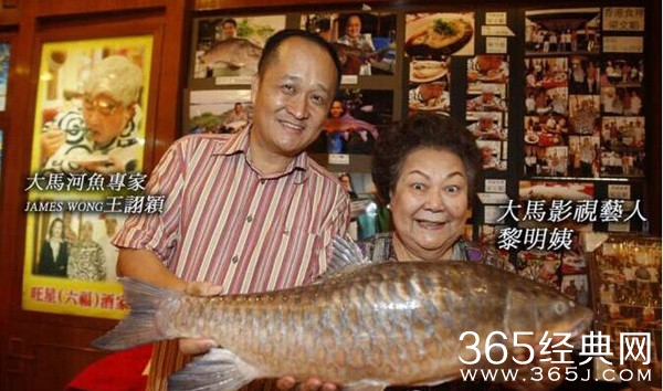 迪拜之后，看看新加坡是怎样有钱、任性的！