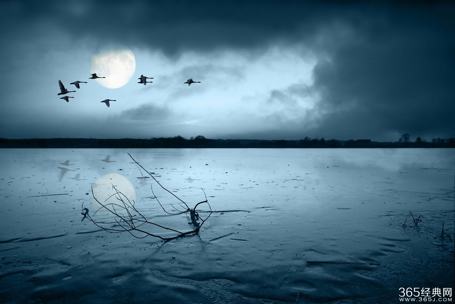 富有诗意的个性签名