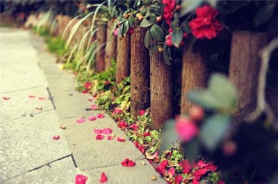 旅行，不是走出去，而是把自己找回来！