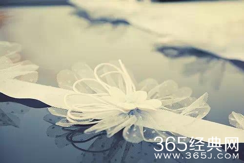 爱情语录：感情专一的人一定都是这样的