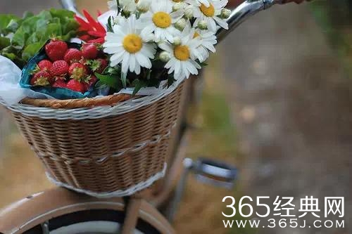 爱情语录：感情专一的人一定都是这样的