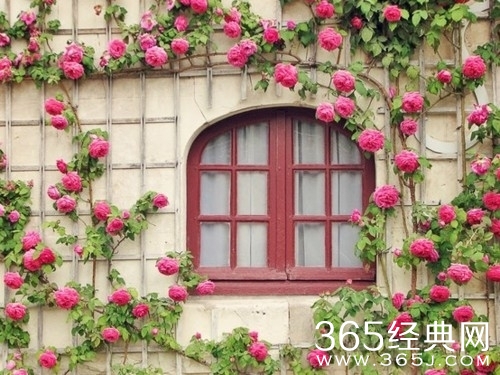 励志语录：光线强的地方，影子也比较黑