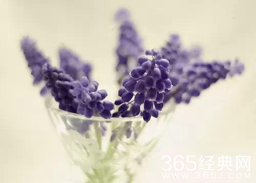 爱情语录：感情专一的人一定都是这样的