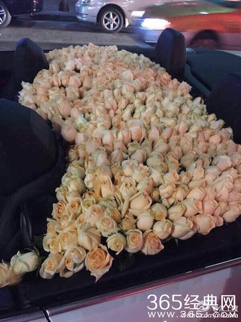 上海惊现男男求婚场面太美_男男求婚现场视频_365经典网