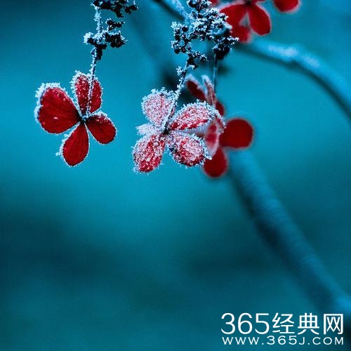 旅行 | 有缘才能看到的美景