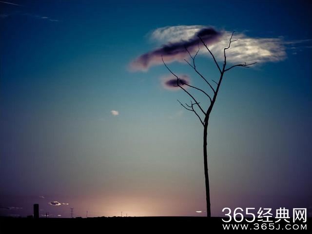 旅行 | 有缘才能看到的美景