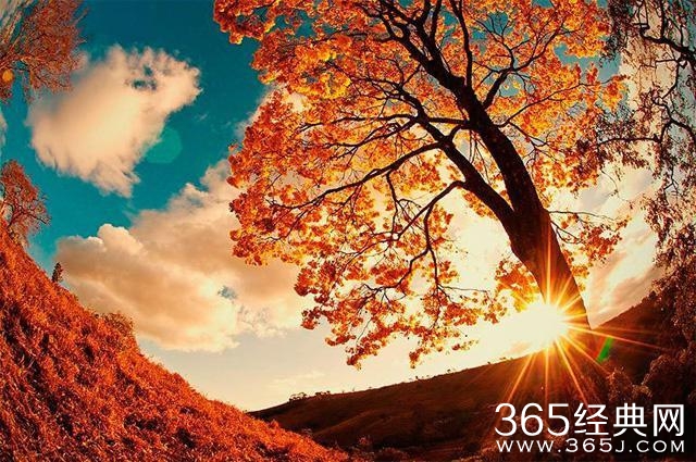 旅行 | 有缘才能看到的美景