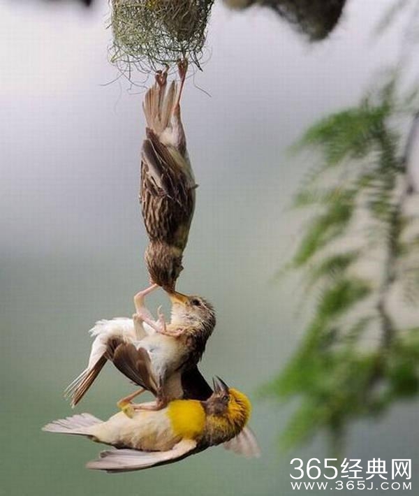 旅行 | 有缘才能看到的美景