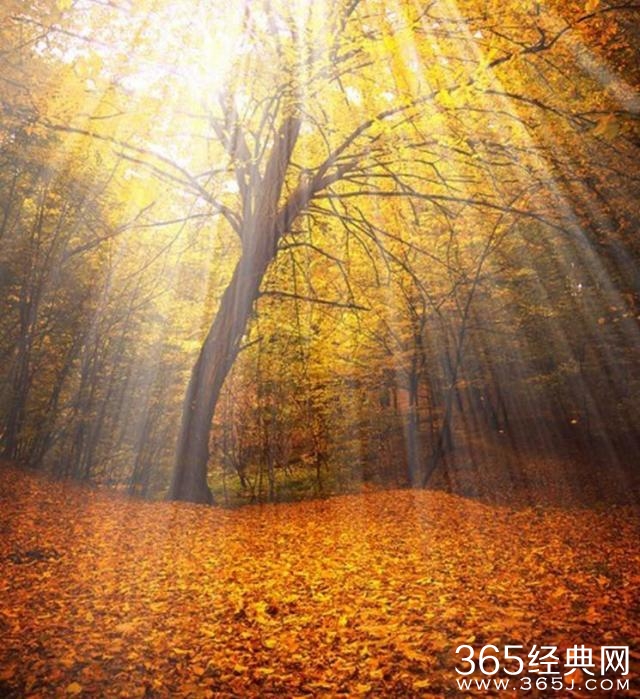 旅行 | 有缘才能看到的美景