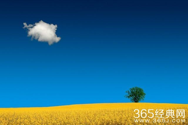 旅行 | 有缘才能看到的美景