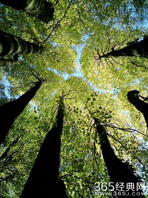 旅行 | 有缘才能看到的美景