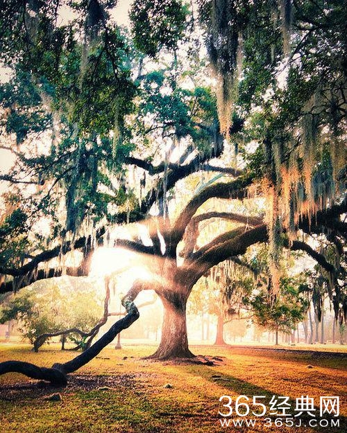 旅行 | 有缘才能看到的美景