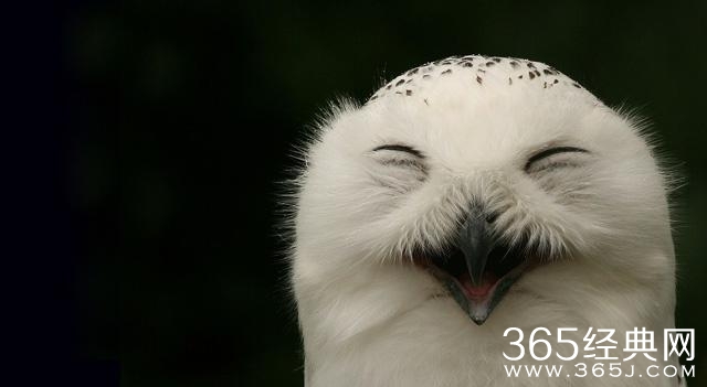 旅行 | 有缘才能看到的美景