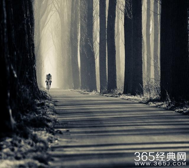 旅行 | 有缘才能看到的美景