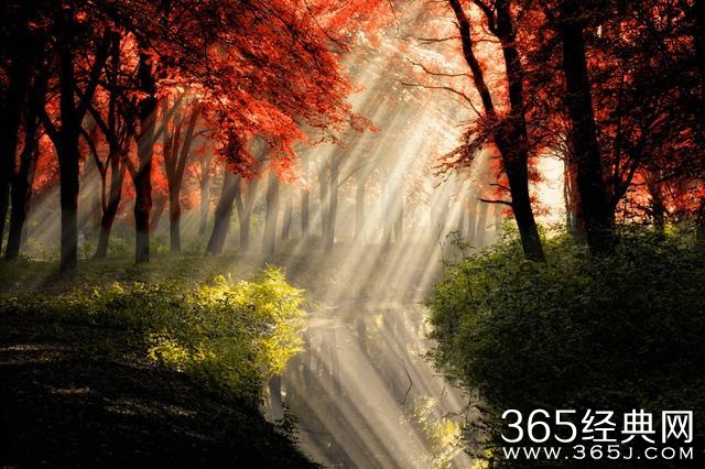 旅行 | 有缘才能看到的美景