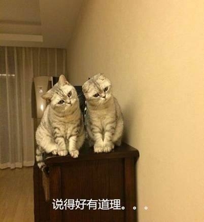 No234.这谁的女票，不要我捡走了！