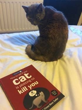 No234.这谁的女票，不要我捡走了！