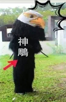 微信十大隐藏功能，超实用！谁用谁知道！