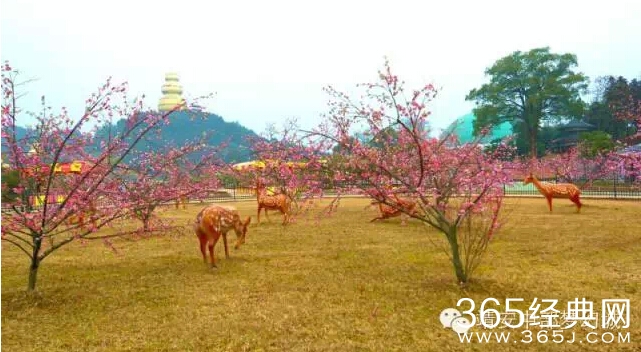 靖安中部梦幻城将于2015年2月11日正式实施一票通（请转发）