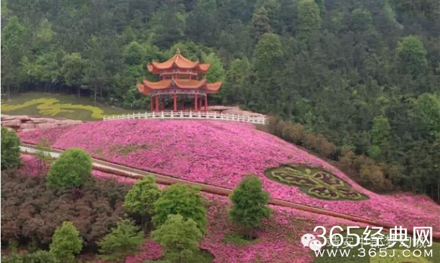 靖安中部梦幻城将于2015年2月11日正式实施一票通（请转发）