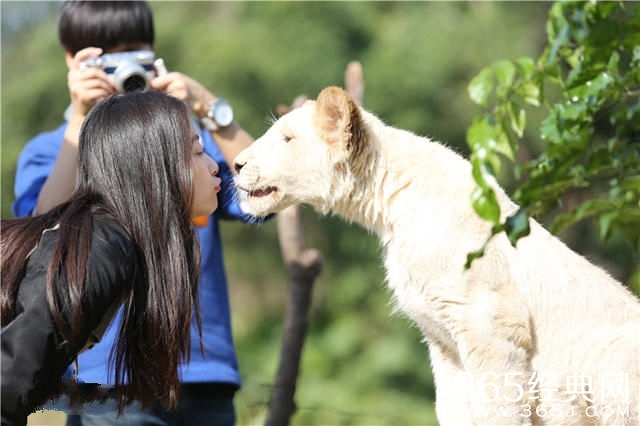 真人秀《奇妙的朋友》主题曲歌词试听