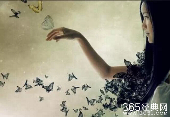 {心}你若盛开，蝴蝶自来。