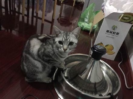 PCG专访Flame 上场无压力 喜欢被叫公主