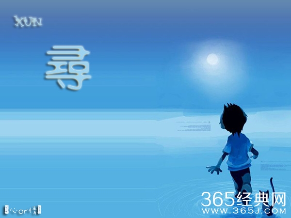 寻找，那颗坠落的星星